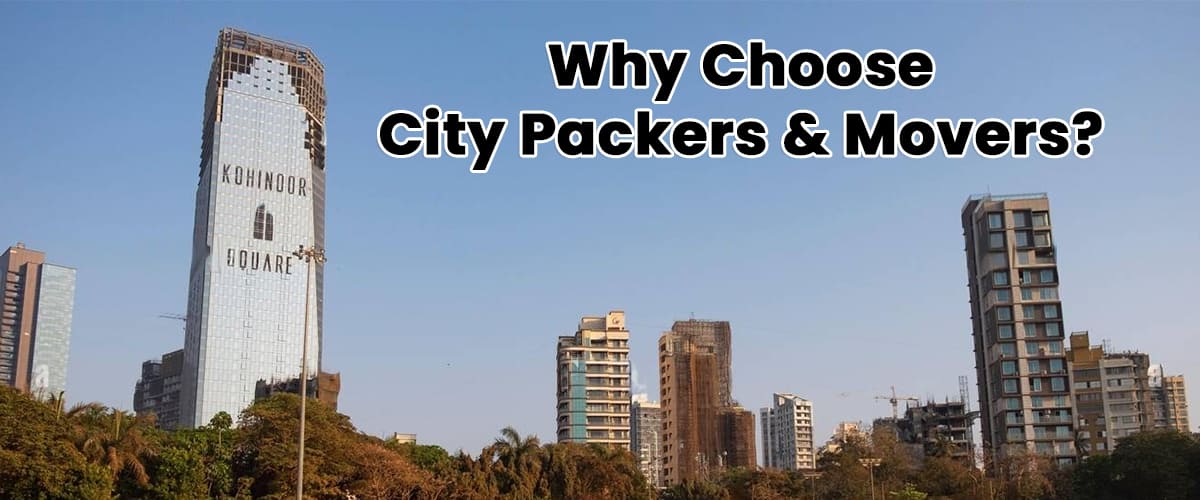 Packers & Movers Professional Services